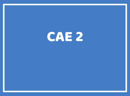 CAE 2